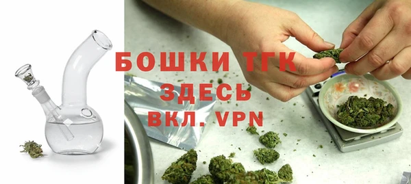 шишки Алзамай