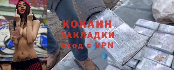 шишки Алзамай